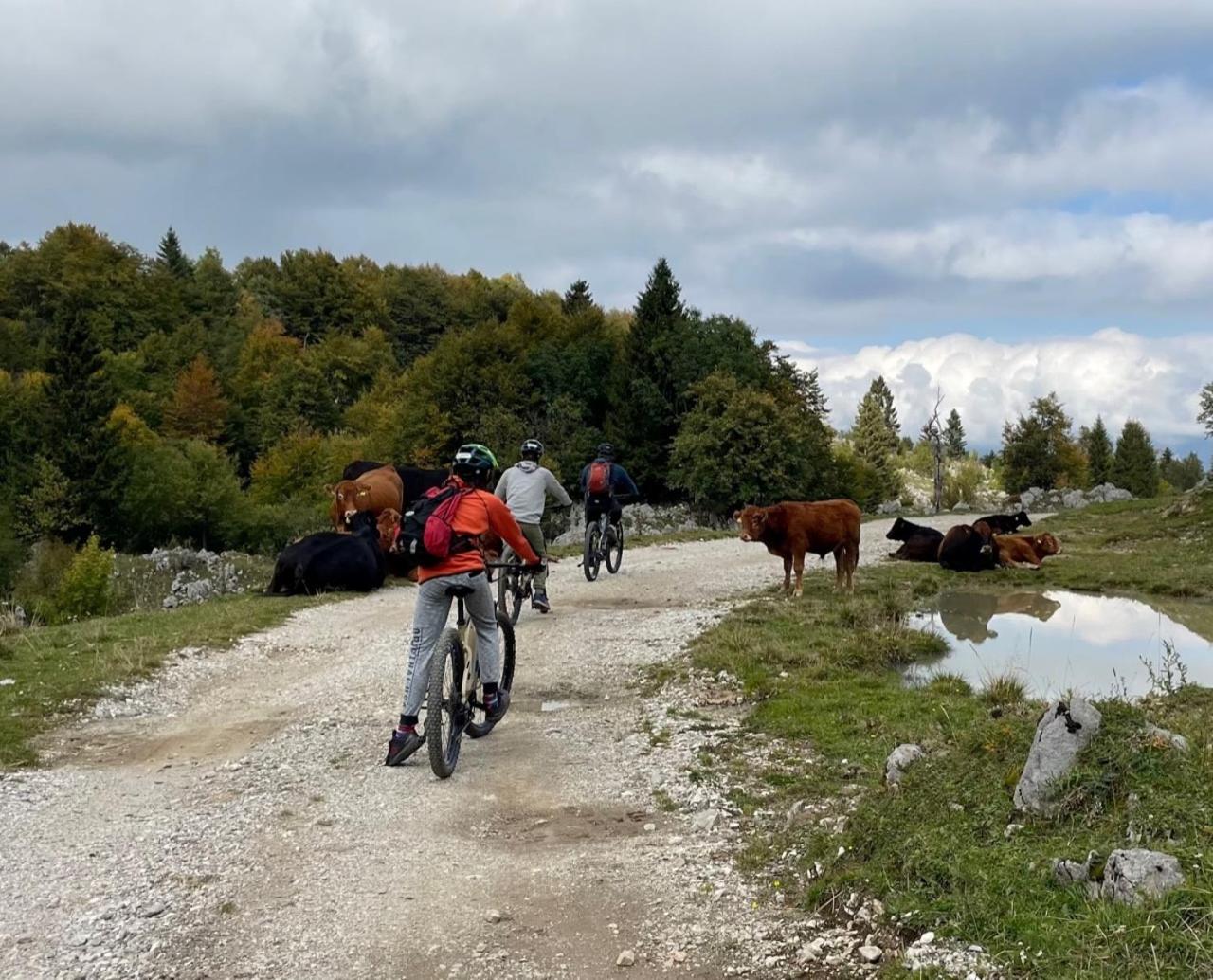 Azimut Hisa Apartment Tolmin Bagian luar foto